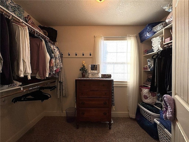 walk in closet with carpet floors