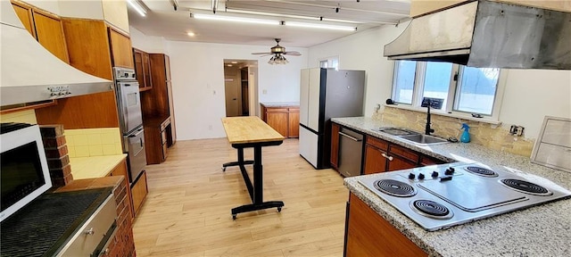 kitchen with appliances with stainless steel finishes, range hood, decorative backsplash, light hardwood / wood-style floors, and sink