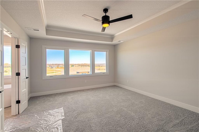 spare room featuring light carpet, baseboards, a raised ceiling, and a textured ceiling