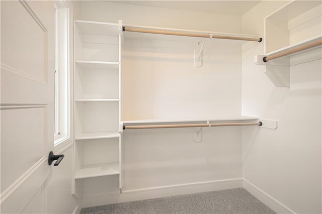 1712 SW Arbormist Dr, Lees Summit, MO 64082 - view of walk in closet