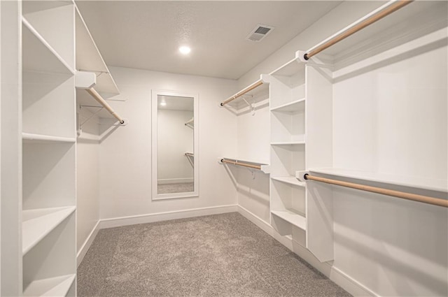 1712 SW Arbormist Dr, Lees Summit, MO 64082 - walk in closet featuring carpet floors