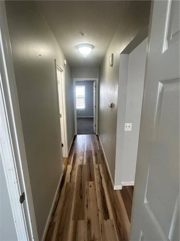 hall featuring dark wood-type flooring