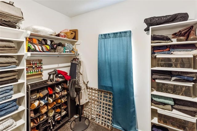 spacious closet featuring carpet flooring