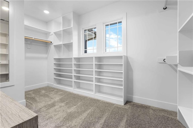 walk in closet featuring carpet flooring