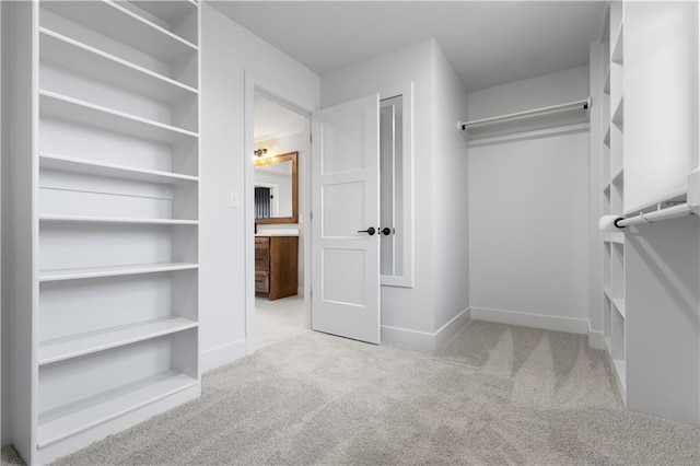 spacious closet with light carpet