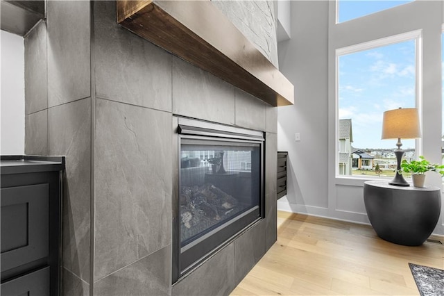 details with baseboards and wood finished floors