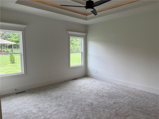 9301 SW Leviathan Ct, Lees Summit, MO 64064 - unfurnished room featuring a tray ceiling, healthy amount of natural light, carpet floors, and a ceiling fan