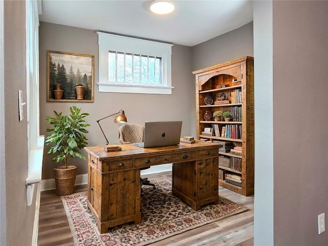 office space featuring wood-type flooring