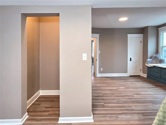 interior space with dark hardwood / wood-style floors