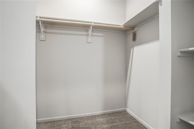 walk in closet with carpet floors