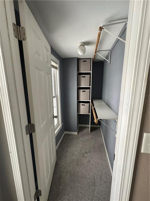 walk in closet with carpet