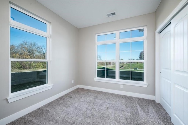 empty room with carpet and a healthy amount of sunlight