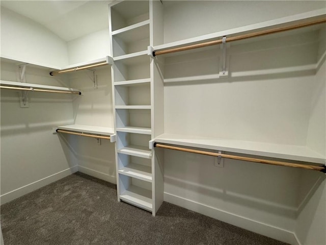 spacious closet with dark carpet