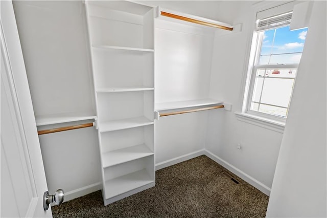 spacious closet with dark colored carpet