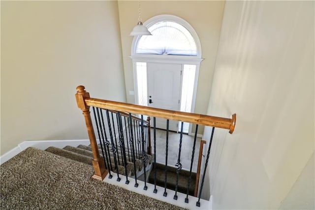 442 Redbud Ct, Warrensburg, MO 64093 - staircase featuring carpet floors and baseboards