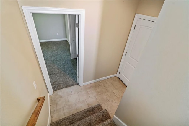 stairway featuring carpet flooring