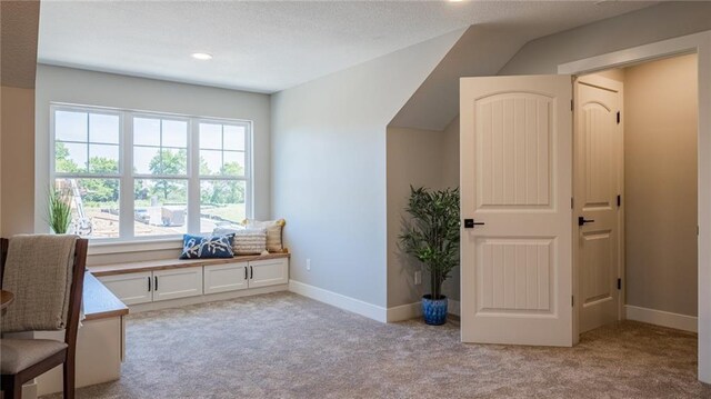 11465 Webster Ave, Kansas City, KS 66109 - photo 29