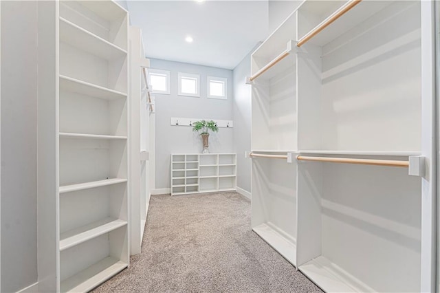 spacious closet featuring carpet floors