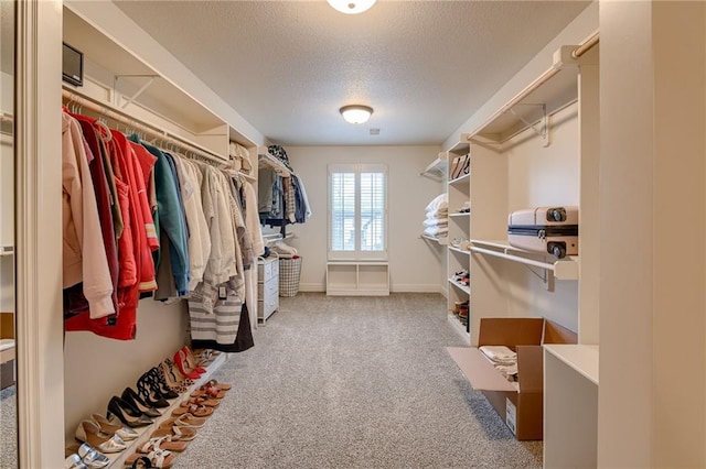 spacious closet with carpet flooring