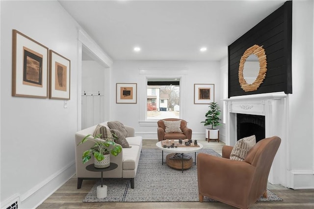 living room featuring wood-type flooring