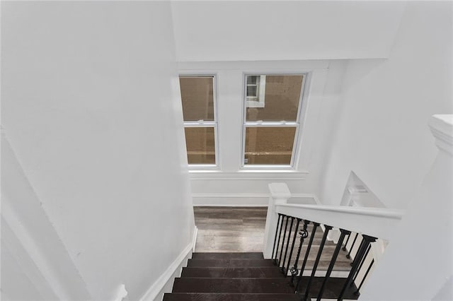 stairway with hardwood / wood-style floors