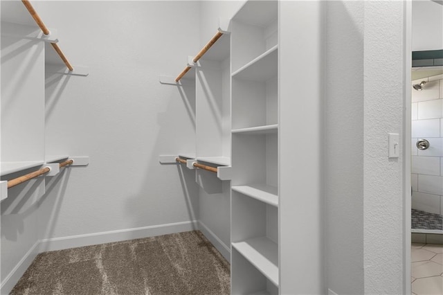 walk in closet with carpet