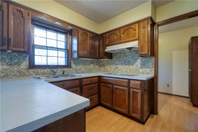 kitchen with electric cooktop, light wood finished floors, under cabinet range hood, and a sink