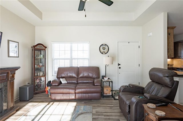 living room with a high end fireplace, a tray ceiling, dark hardwood / wood-style floors, and ceiling fan