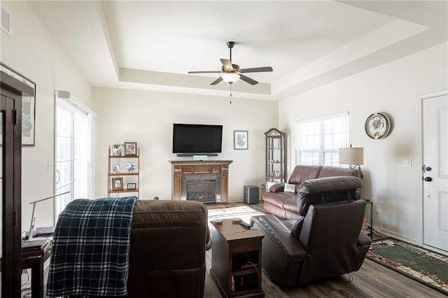 living room with a raised ceiling, ceiling fan, and wood-type flooring