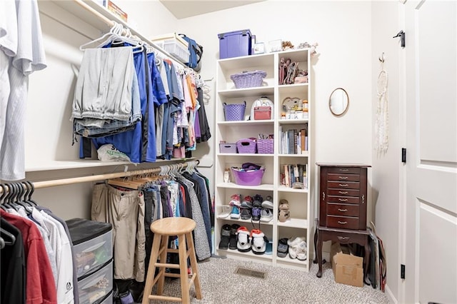 spacious closet with carpet