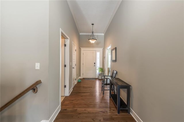 doorway with dark hardwood / wood-style flooring and ornamental molding