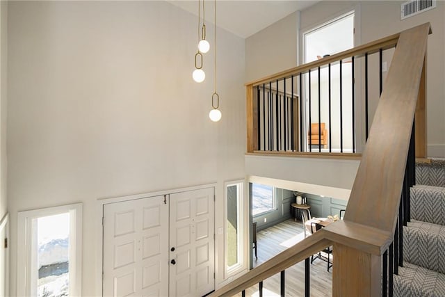 foyer featuring wood-type flooring