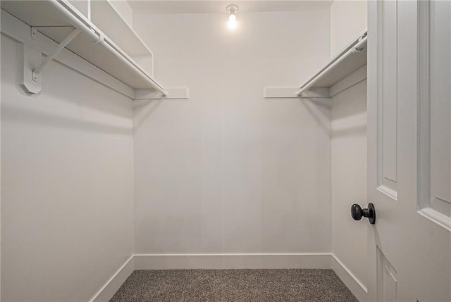 walk in closet featuring dark colored carpet