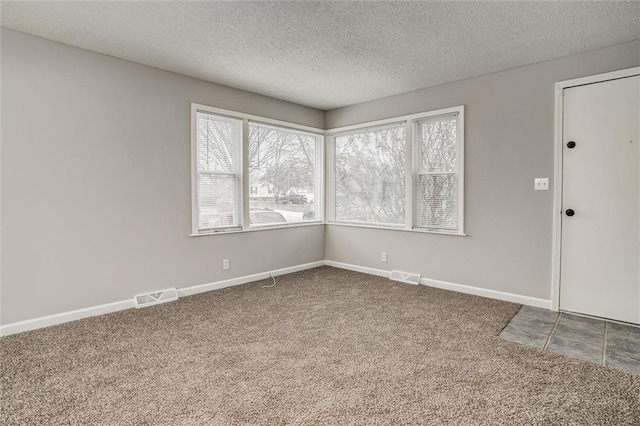 spare room featuring carpet flooring and a textured ceiling