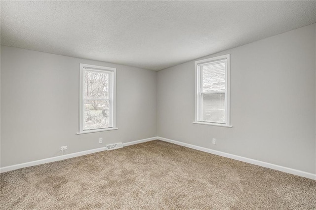 unfurnished room featuring lofted ceiling, carpet floors, a textured ceiling, and a wealth of natural light