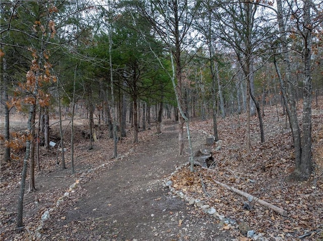 view of local wilderness