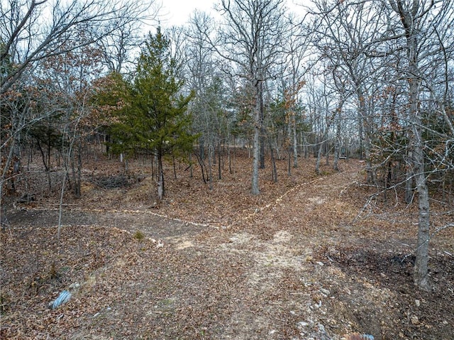 view of local wilderness