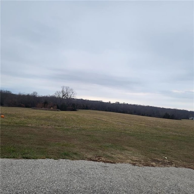 view of yard featuring a rural view