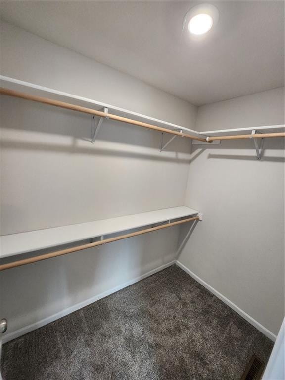 walk in closet with carpet flooring