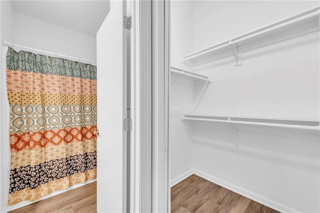 spacious closet featuring wood finished floors