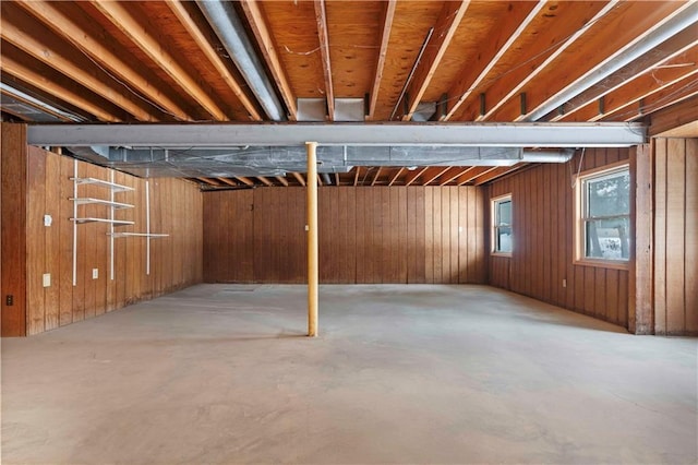 basement with wooden walls