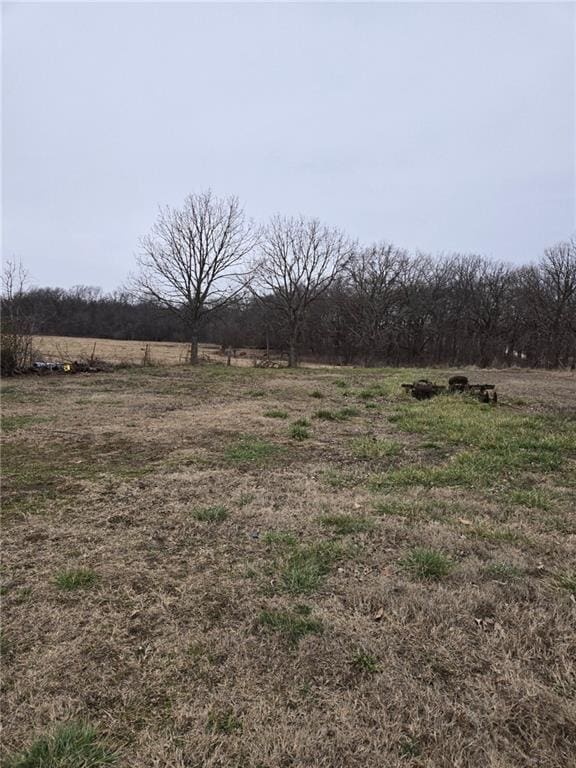 view of yard featuring a rural view