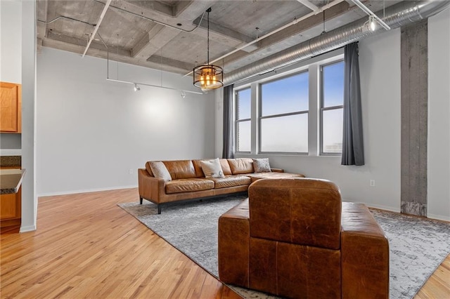 living room with light hardwood / wood-style flooring