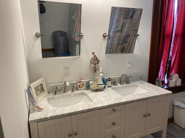 bathroom with vanity