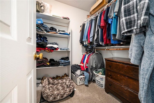 walk in closet with carpet flooring