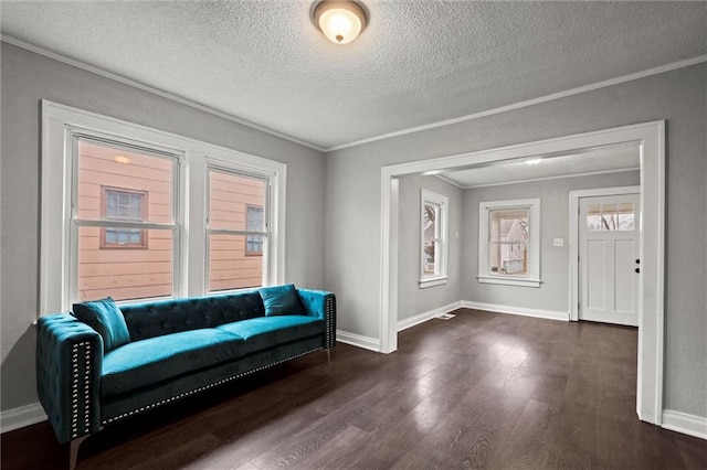 sitting room with crown molding, a textured ceiling, and dark wood-type flooring