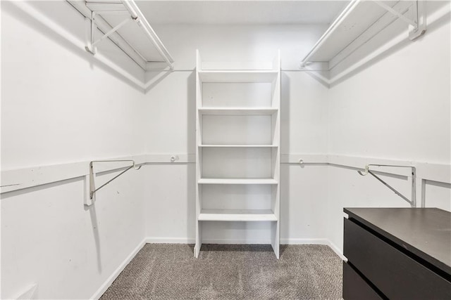 walk in closet with carpet floors