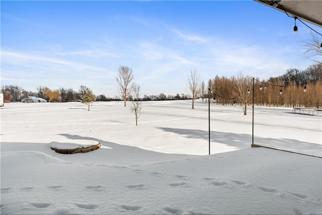 view of yard covered in snow