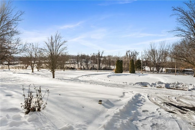 view of yard covered in snow