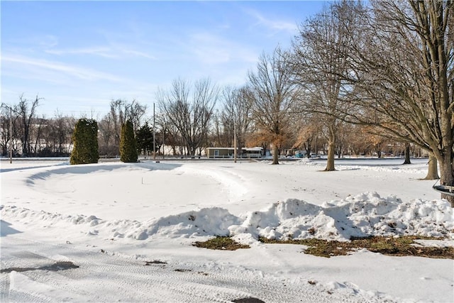 view of yard layered in snow